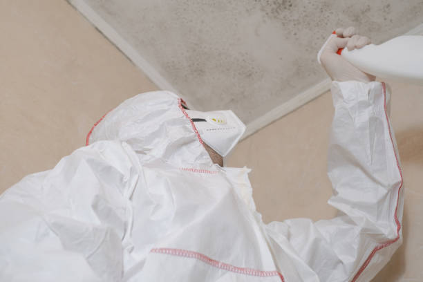 Reliable Trenton, MO Mold Remediation Solutions